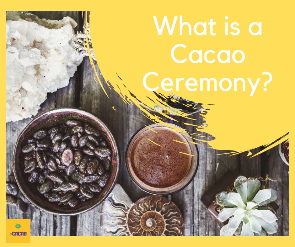 cacao ceremony