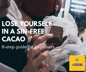 cacao drink guide