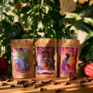Cacao Samples Set 3x80g — Congo, Ecuador & New São Tomé